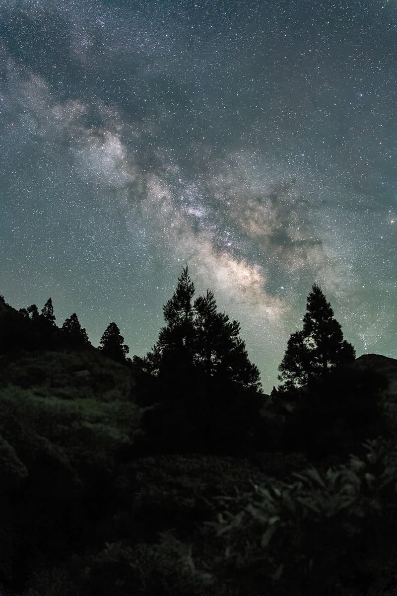 Starry Bed Canopy