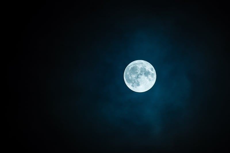 Moonlit Elegance