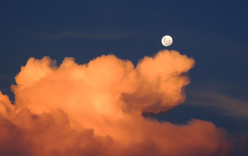 Moon Phase Wall Art