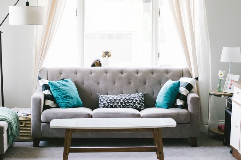 Constellation Throw Pillows